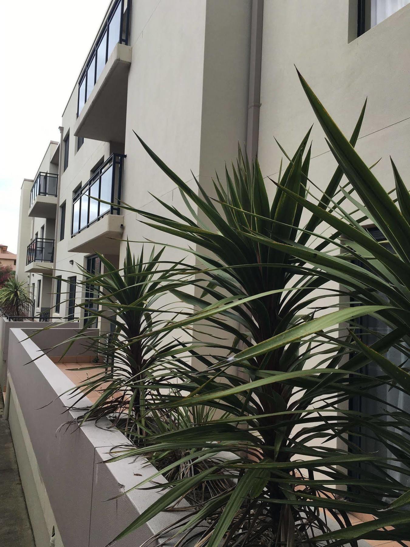 Wollongong Serviced Apartments Luaran gambar